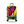 Britto - A New Day 3 Piece Luggage Set