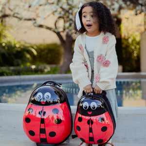 #color_Lady Bug