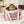 Pawsenger Pet Carrier - Atmosphere | Airline Approved
