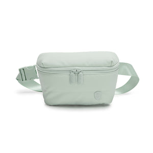 #color_Sage Green